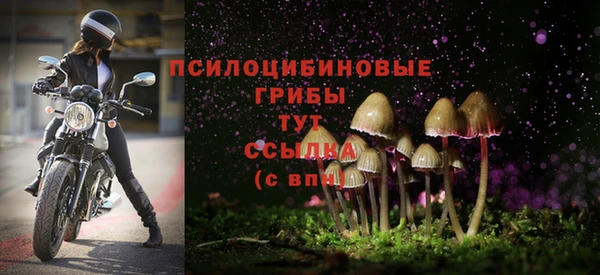 ALPHA-PVP Гусев