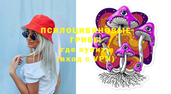 ALPHA-PVP Гусев