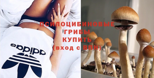 ALPHA-PVP Гусев
