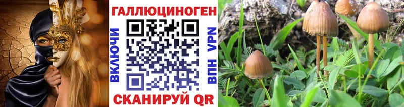 Купить закладки  Магас  Псилоцибиновые грибы MAGIC MUSHROOMS 